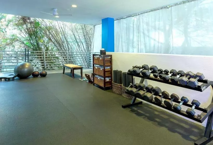 Z Ocean Hotel, Classico A Sonesta Collection