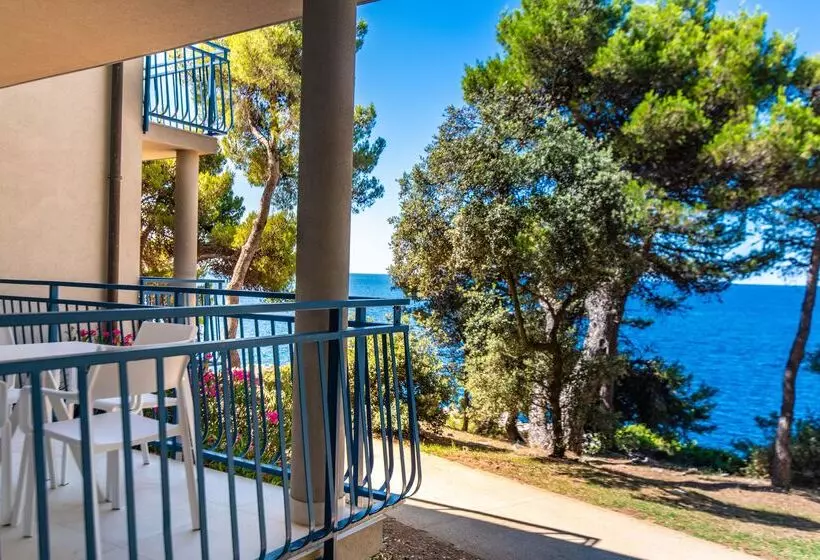 Arena Verudela Beach