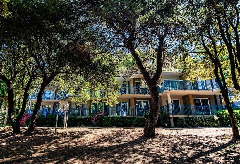 Arena Verudela Beach