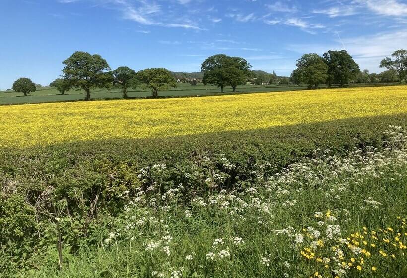 Glamping At The Homestead   Ensuite Bell Tent