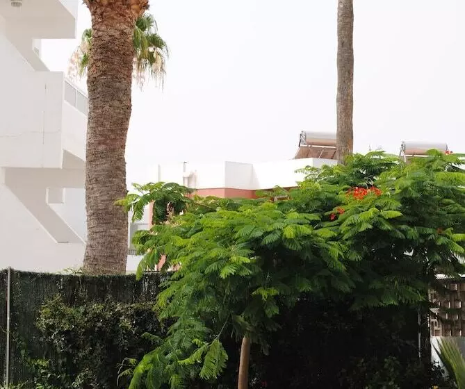 Atlantic Sun Beach - Gay Men Only