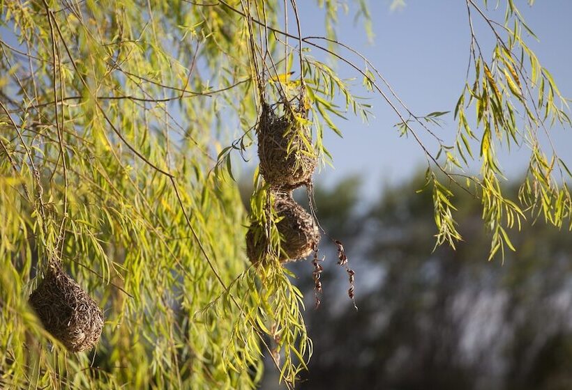 酒店 Asara Wine Estate &