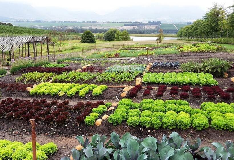 酒店 Asara Wine Estate &