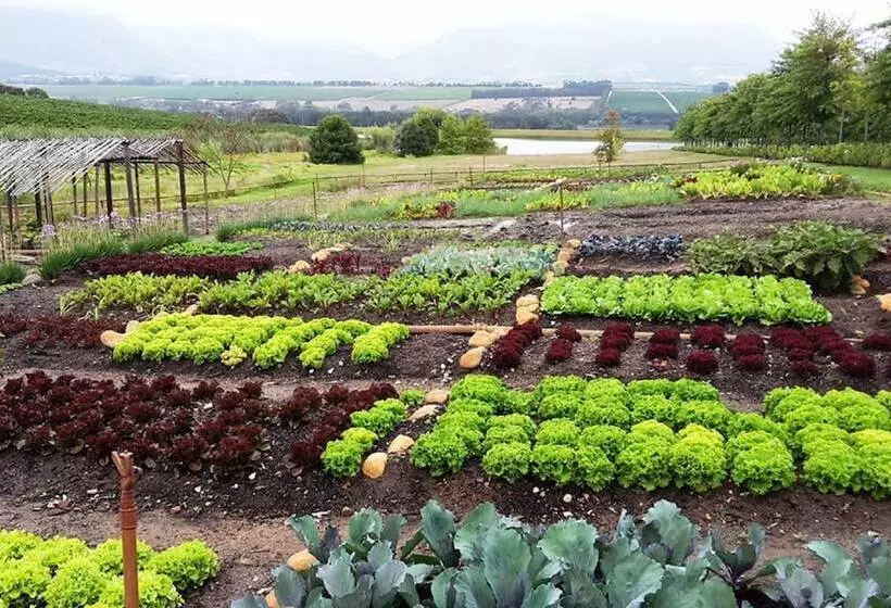 酒店 Asara Wine Estate &