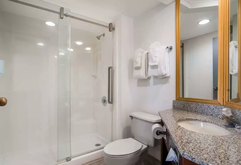 בית מלון כפרי Clarion Inn & Suites Airport