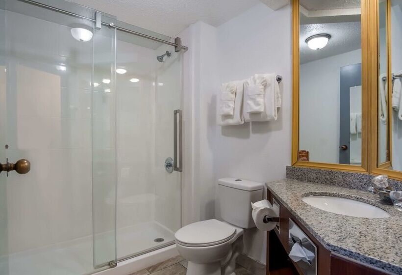 فندق Clarion Inn & Suites Airport