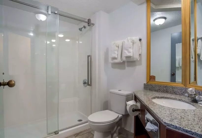 בית מלון כפרי Clarion Inn & Suites Airport