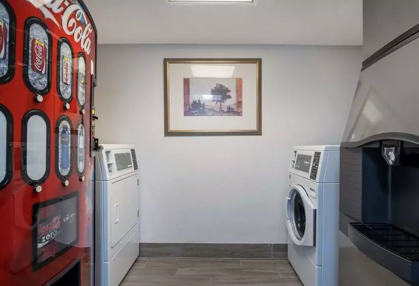 בית מלון כפרי Clarion Inn & Suites Airport