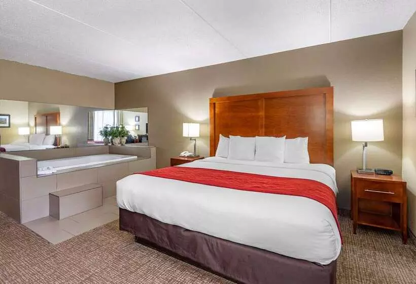 호텔 Comfort Inn Matthews / Charlotte