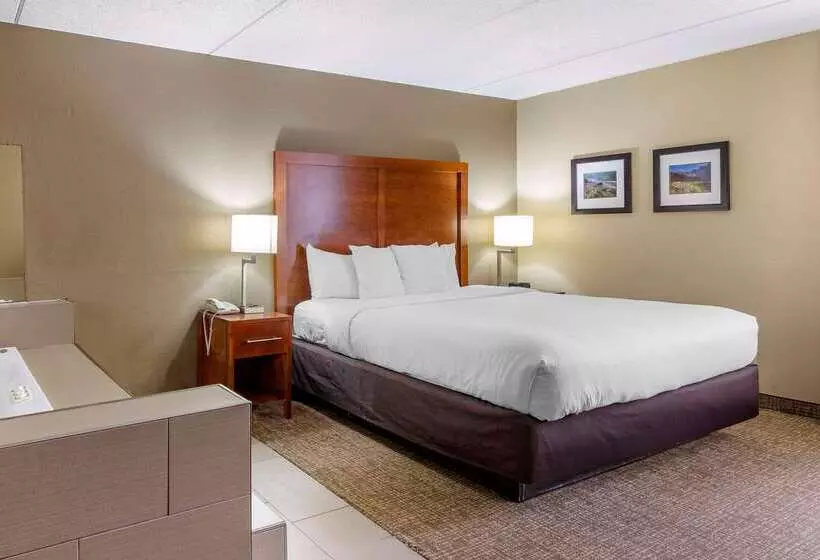 호텔 Comfort Inn Matthews / Charlotte