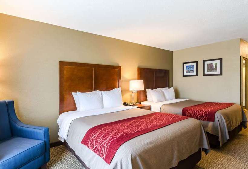 ホテル Comfort Inn Randolph Boston