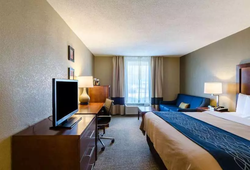 酒店 Comfort Inn Randolph Boston