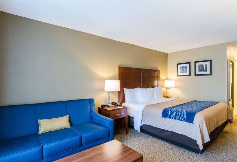 ホテル Comfort Inn Randolph Boston