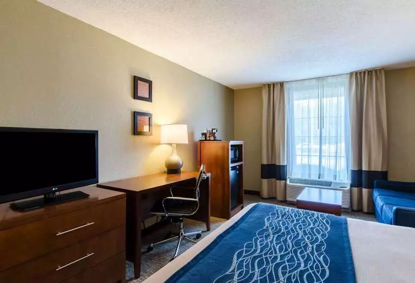 酒店 Comfort Inn Randolph Boston