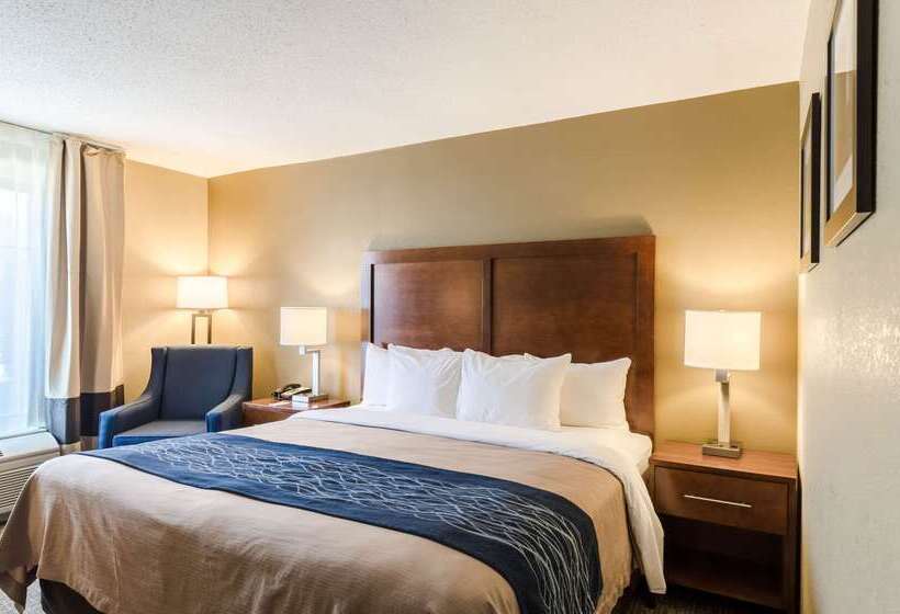 ホテル Comfort Inn Randolph Boston