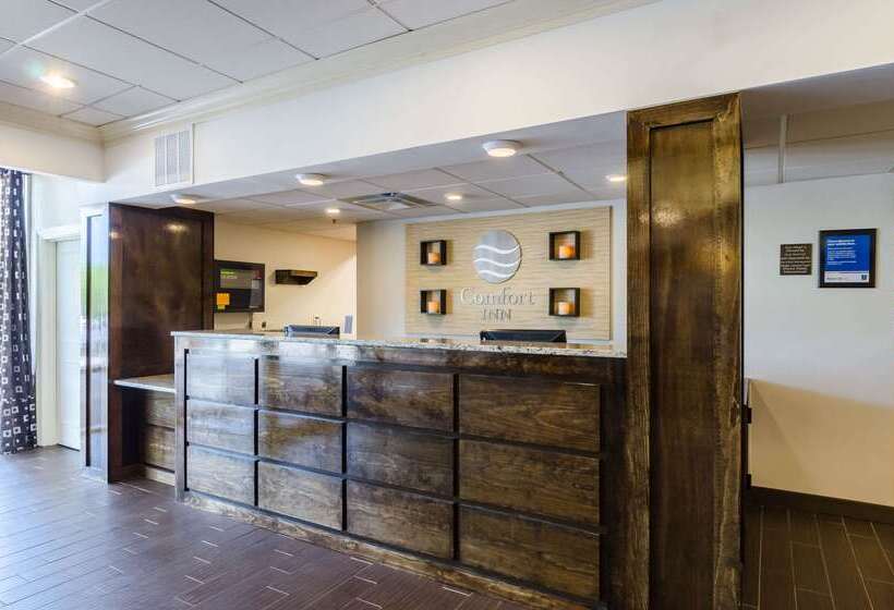 ホテル Comfort Inn Randolph Boston