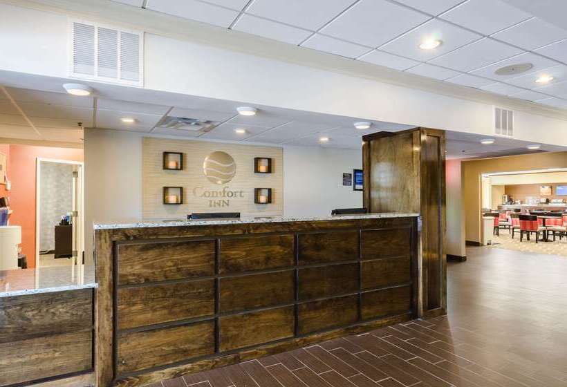 ホテル Comfort Inn Randolph Boston