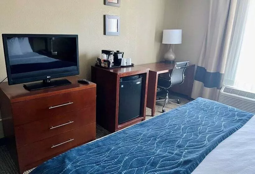 酒店 Comfort Inn Randolph Boston