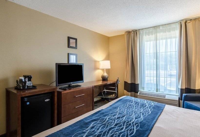 ホテル Comfort Inn Randolph Boston