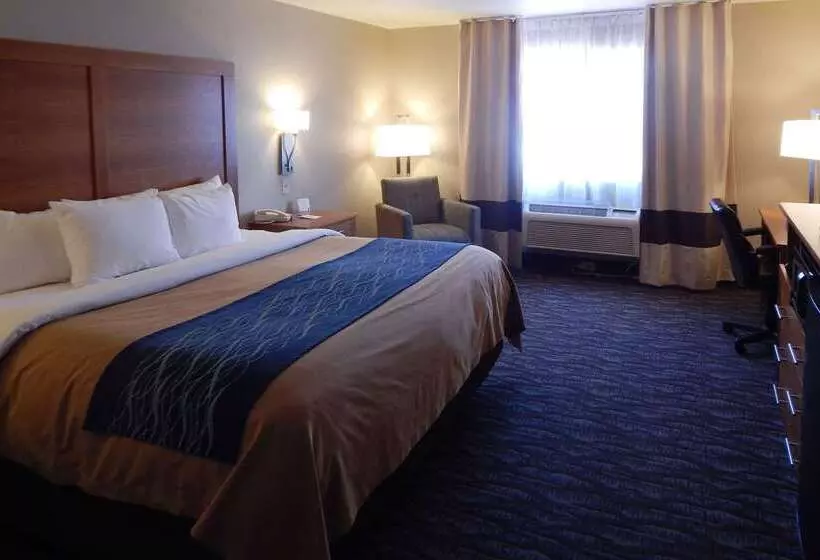 Otel Comfort Inn & Suites Las Cruces Mesilla