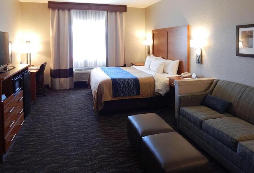 هتل Comfort Inn & Suites Las Cruces Mesilla
