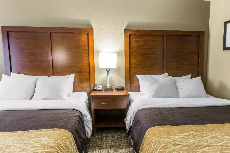 酒店 Comfort Inn & Suites Peachtree Corners