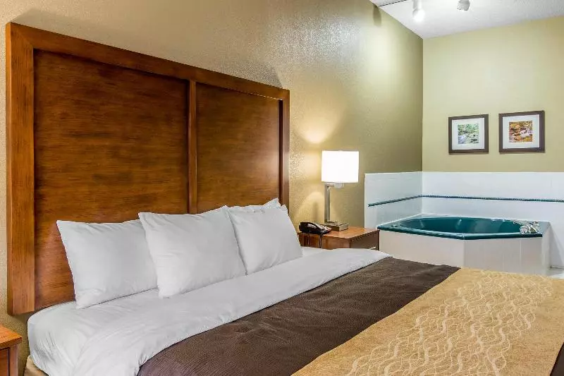 酒店 Comfort Inn & Suites Peachtree Corners