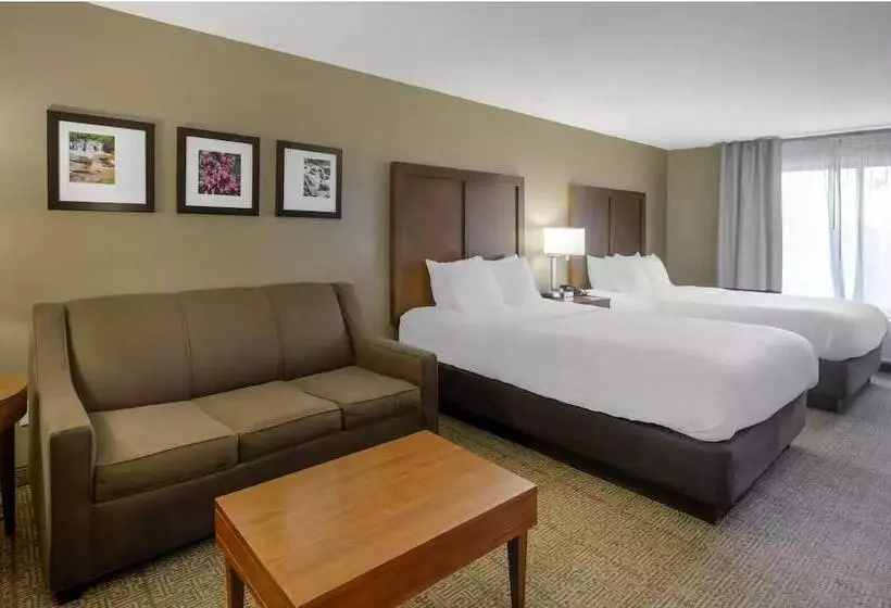 酒店 Comfort Inn & Suites Peachtree Corners