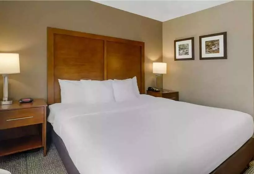 酒店 Comfort Inn & Suites Peachtree Corners
