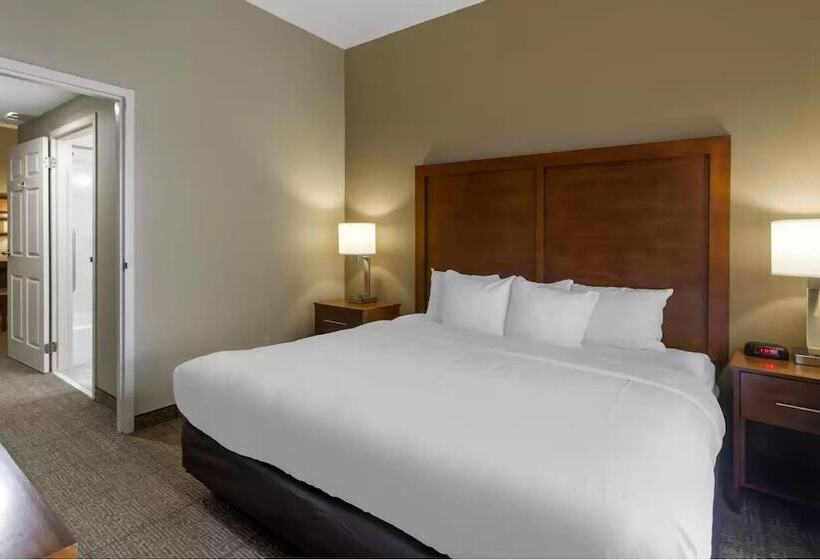 Отель Comfort Inn & Suites Peachtree Corners