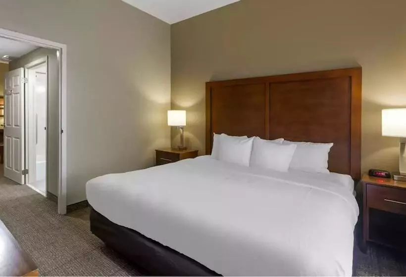 酒店 Comfort Inn & Suites Peachtree Corners