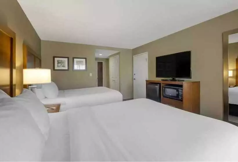酒店 Comfort Inn & Suites Peachtree Corners