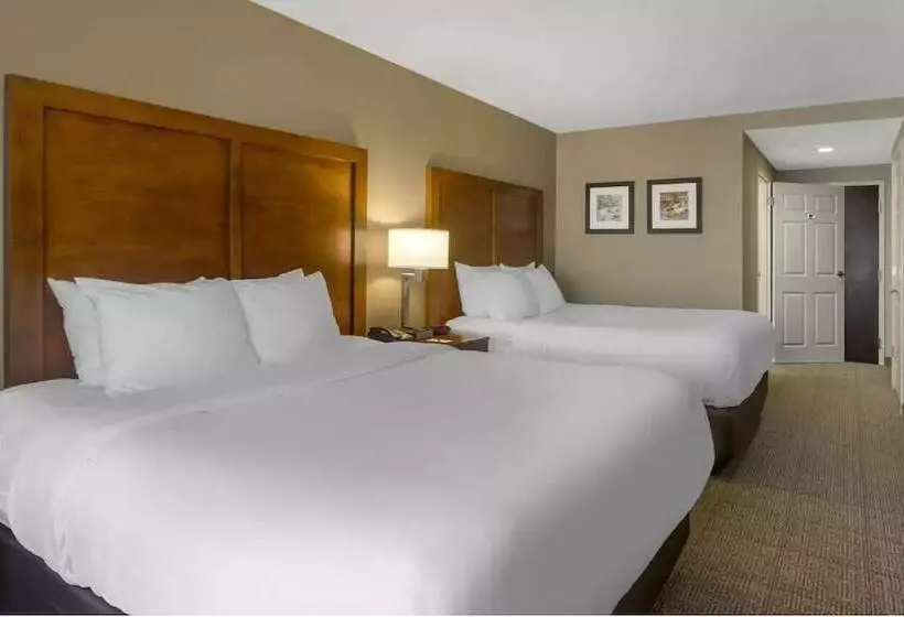酒店 Comfort Inn & Suites Peachtree Corners