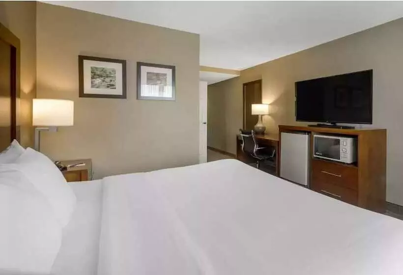 酒店 Comfort Inn & Suites Peachtree Corners
