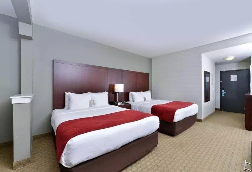 فندق Comfort Suites Airport Tukwila Seattle