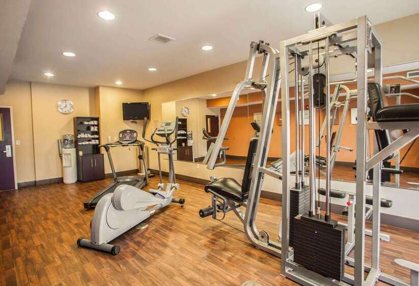 酒店 Comfort Suites Bloomington I55 And I74