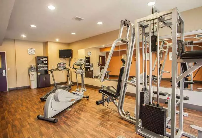 ホテル Comfort Suites Bloomington I55 And I74