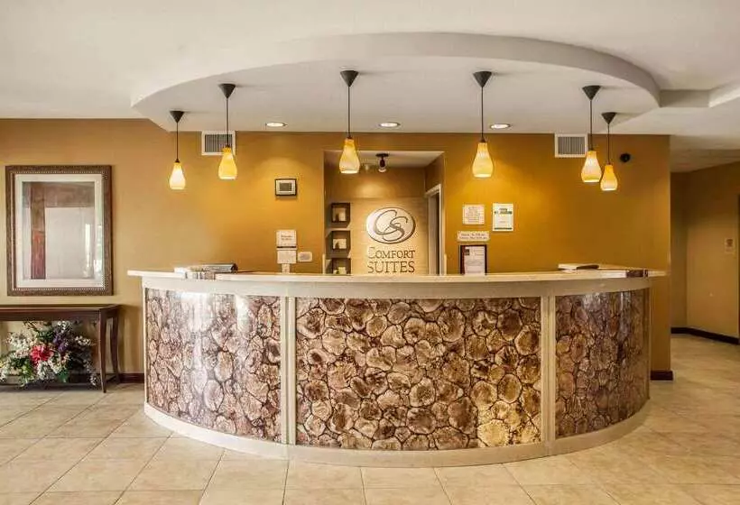 ホテル Comfort Suites Bloomington I55 And I74