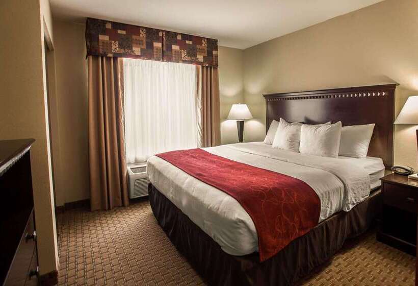 酒店 Comfort Suites Bloomington I55 And I74