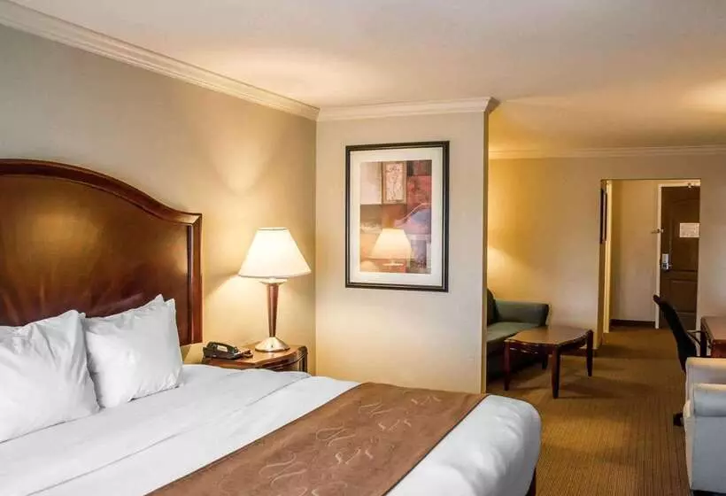 酒店 Comfort Suites Cincinnati North