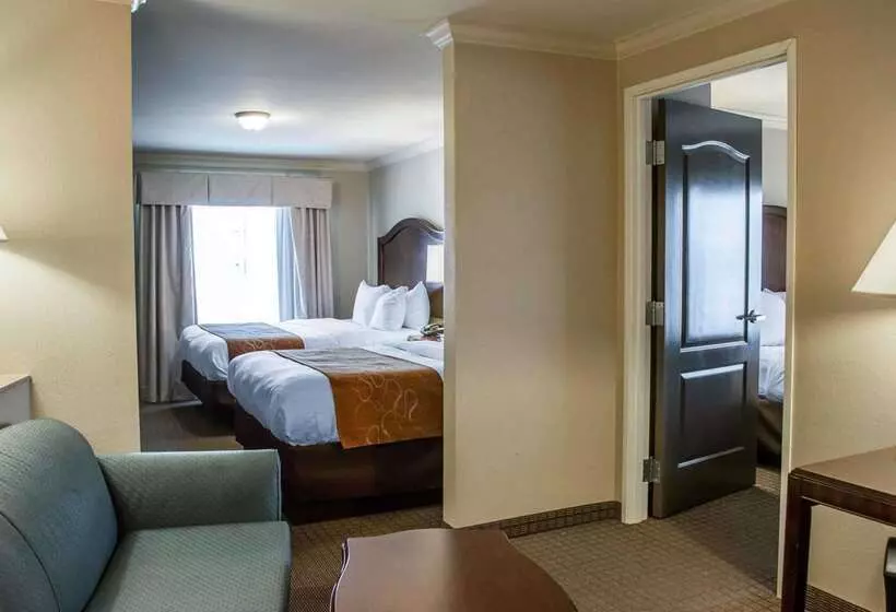 酒店 Comfort Suites Cincinnati North