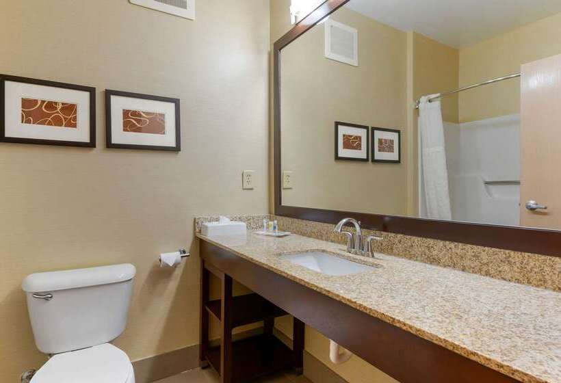 酒店 Comfort Suites