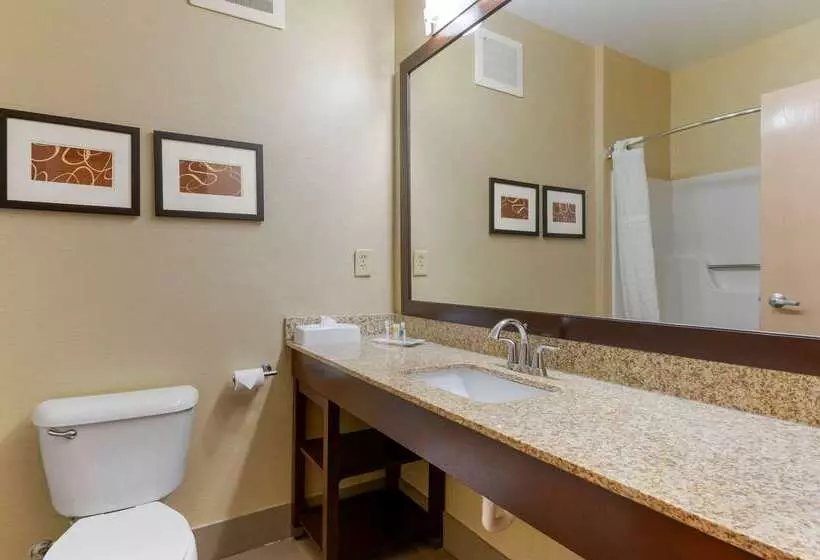 호텔 Comfort Suites