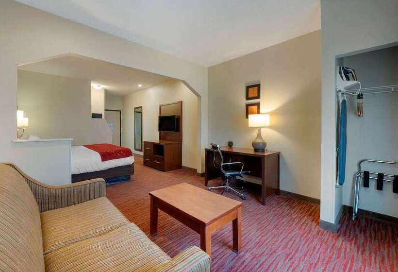 酒店 Comfort Suites