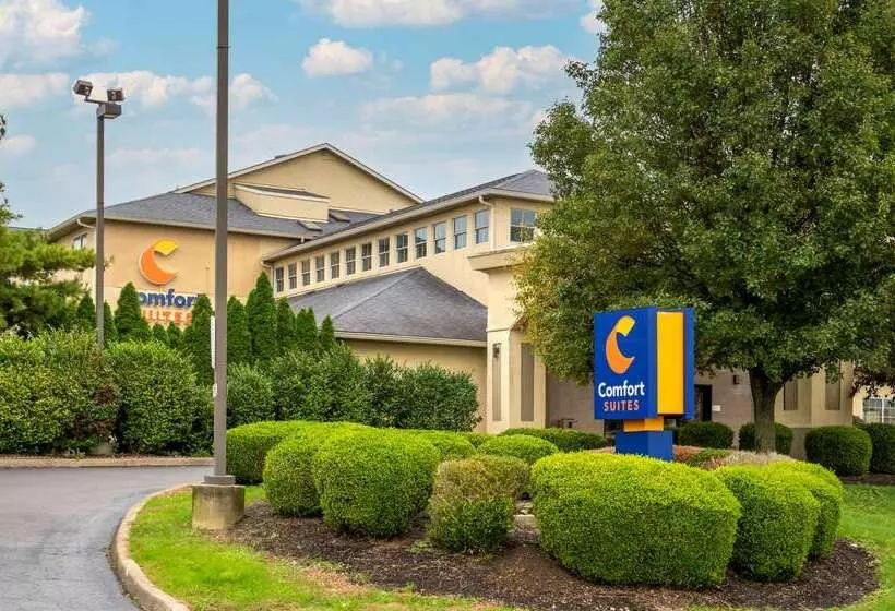 호텔 Comfort Suites