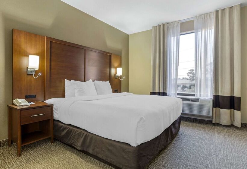 هتل Comfort Suites Houston Nw Vintage Park