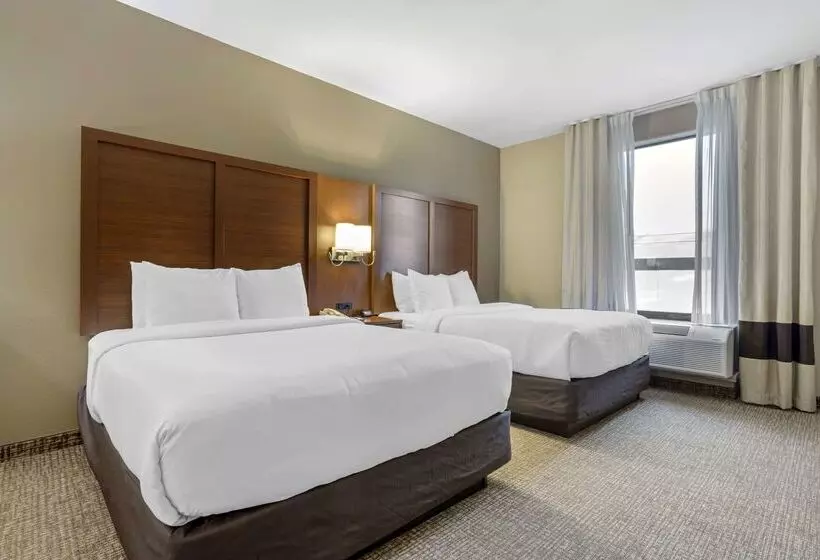 هتل Comfort Suites Houston Nw Vintage Park