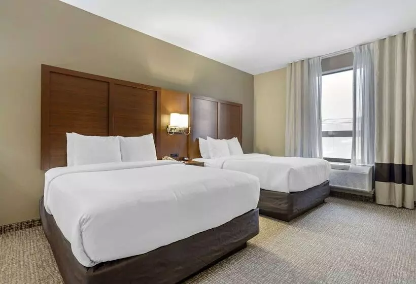 هتل Comfort Suites Houston Nw Vintage Park