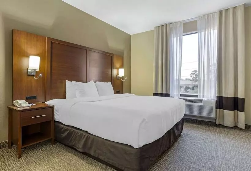 هتل Comfort Suites Houston Nw Vintage Park
