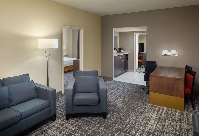 בית מלון כפרי Embassy Suites By Hilton Laredo